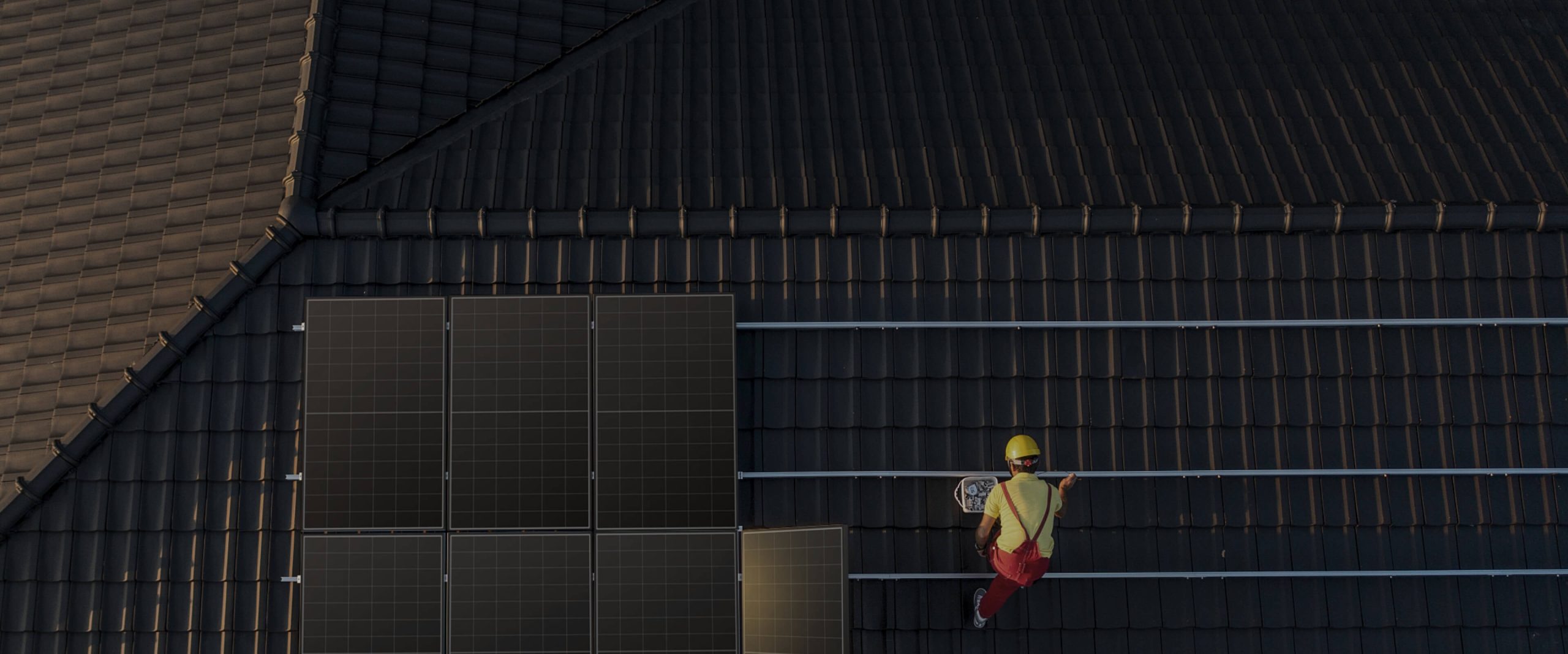 非凡国际产品家族