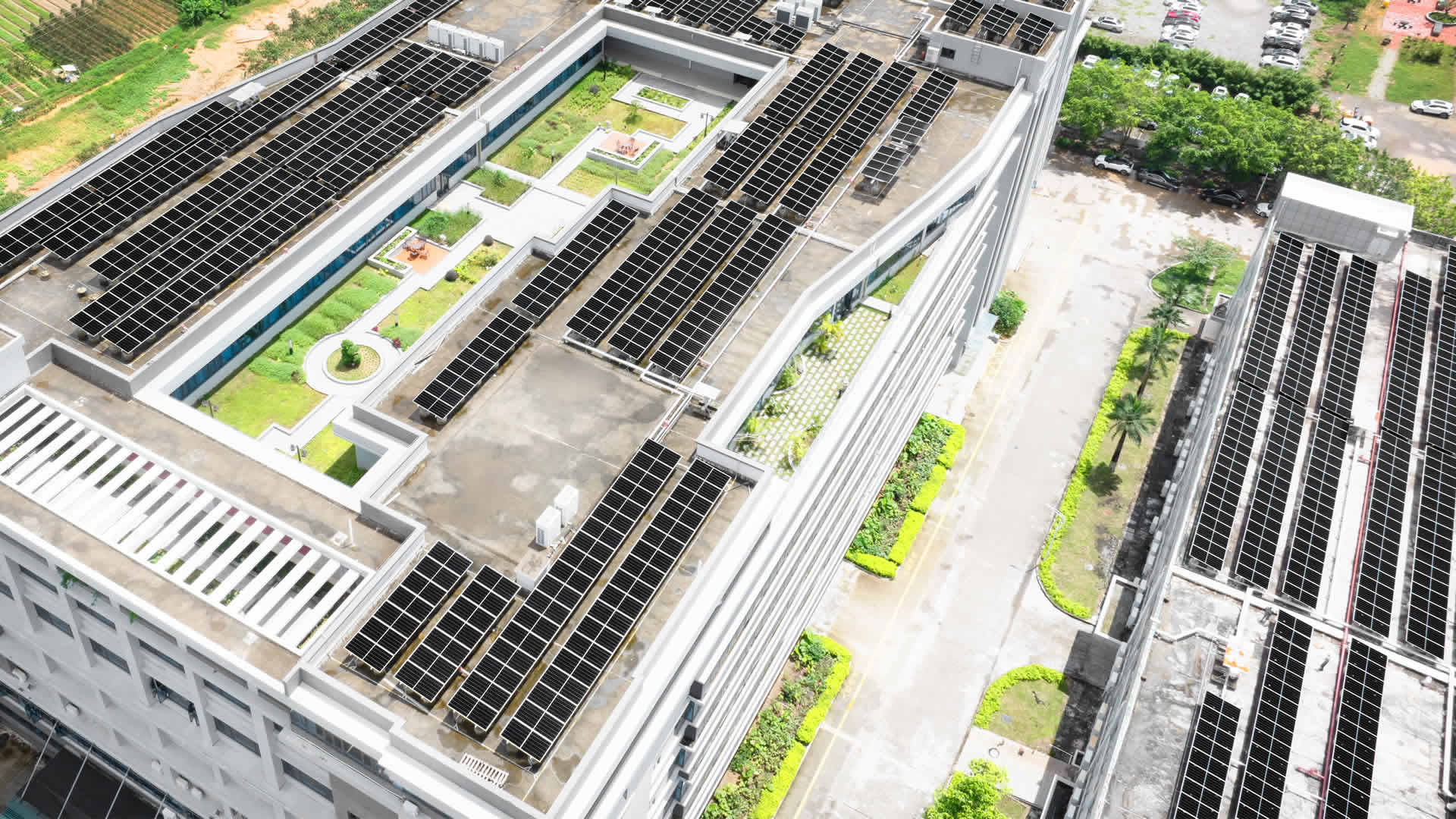 珠；诳萍及咐