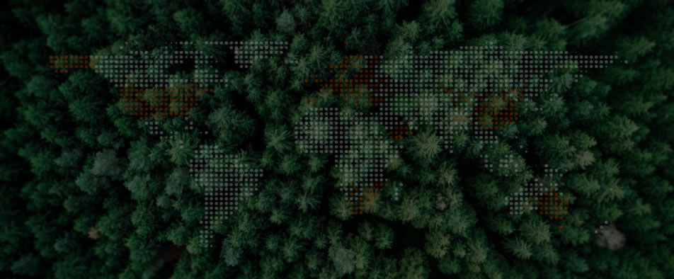 非凡国际全球零碳案例