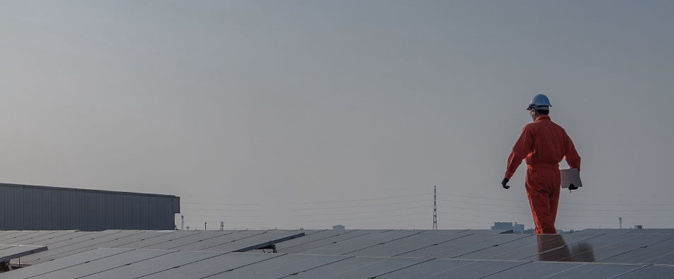 非凡国际BC高效组件