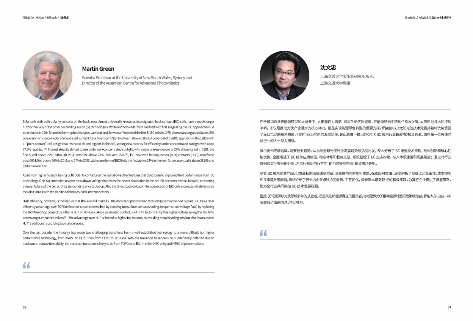 背接触（BC）电池技术发展白皮书