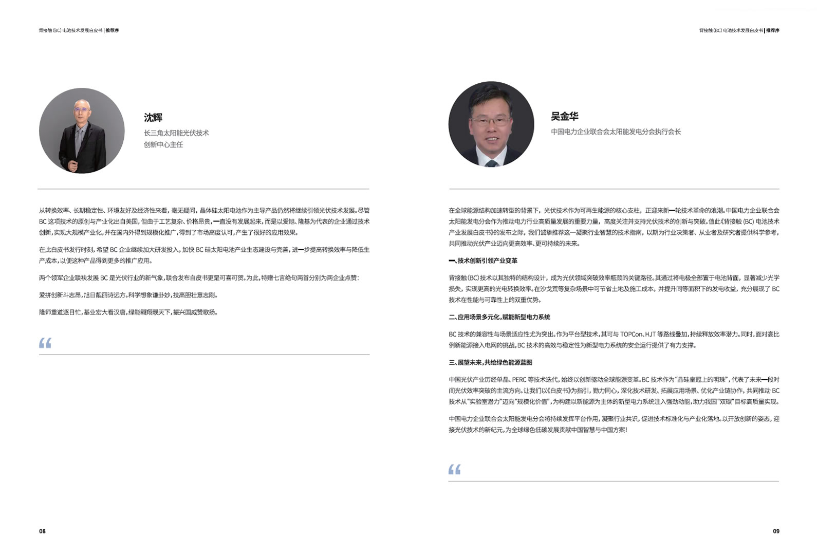 背接触（BC）电池技术发展白皮书